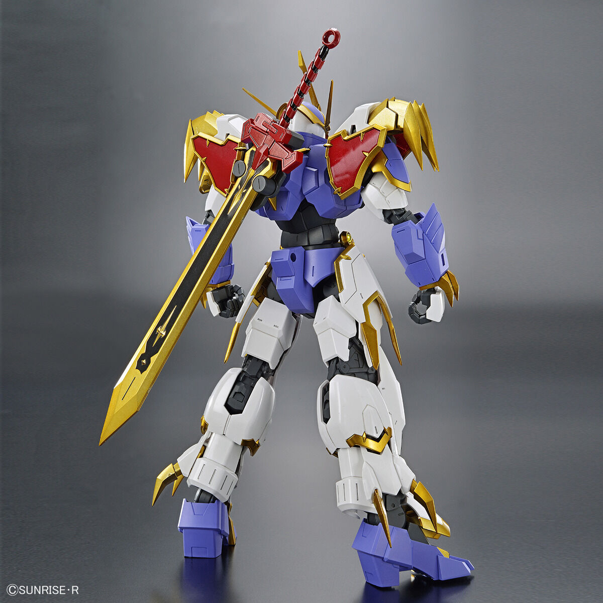 BANDAI HG AMPLIFIED IMGN RYUJINMARU