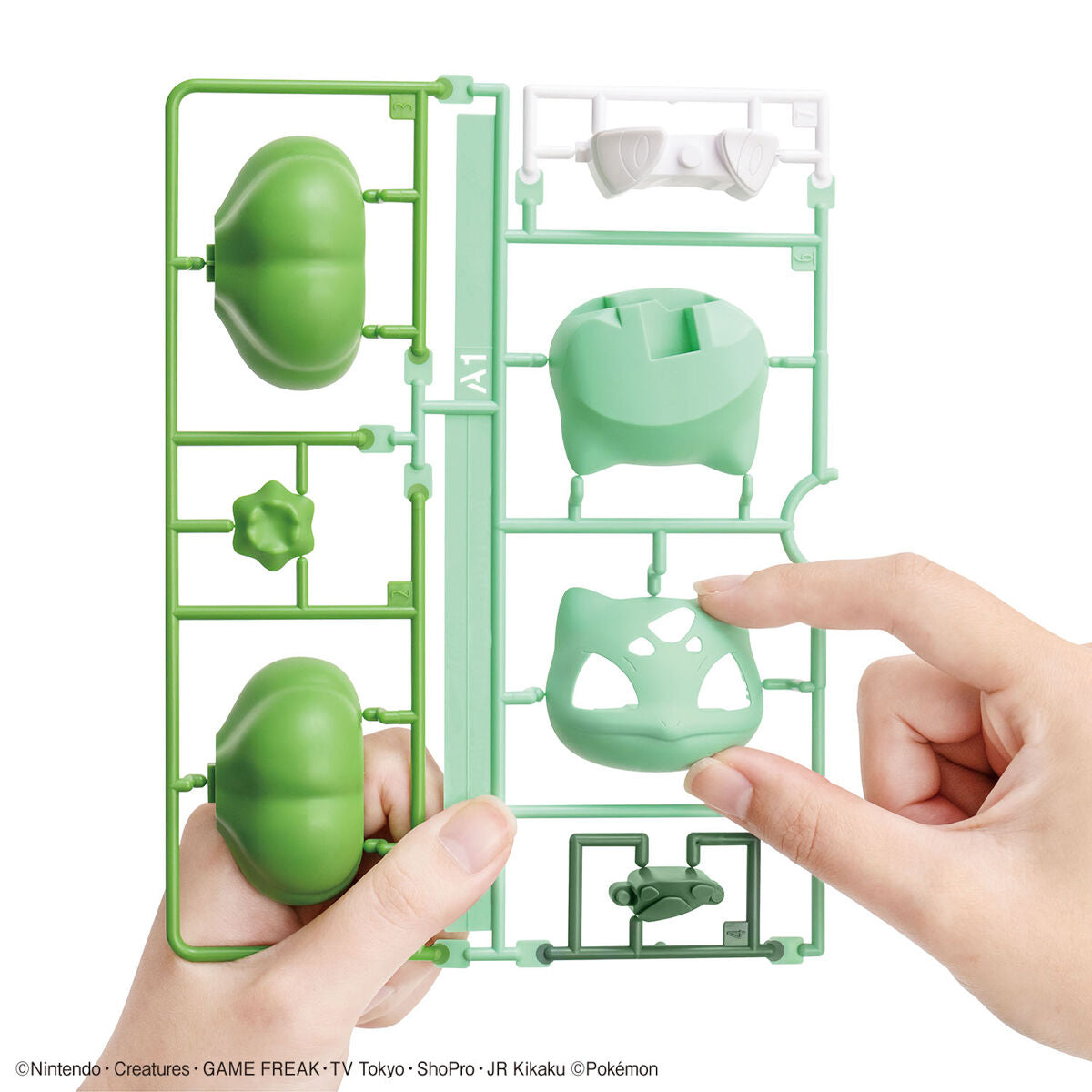 BANDAI POKEMON PLAMO COLLECTION QUICK!! 13 BULBASAUR