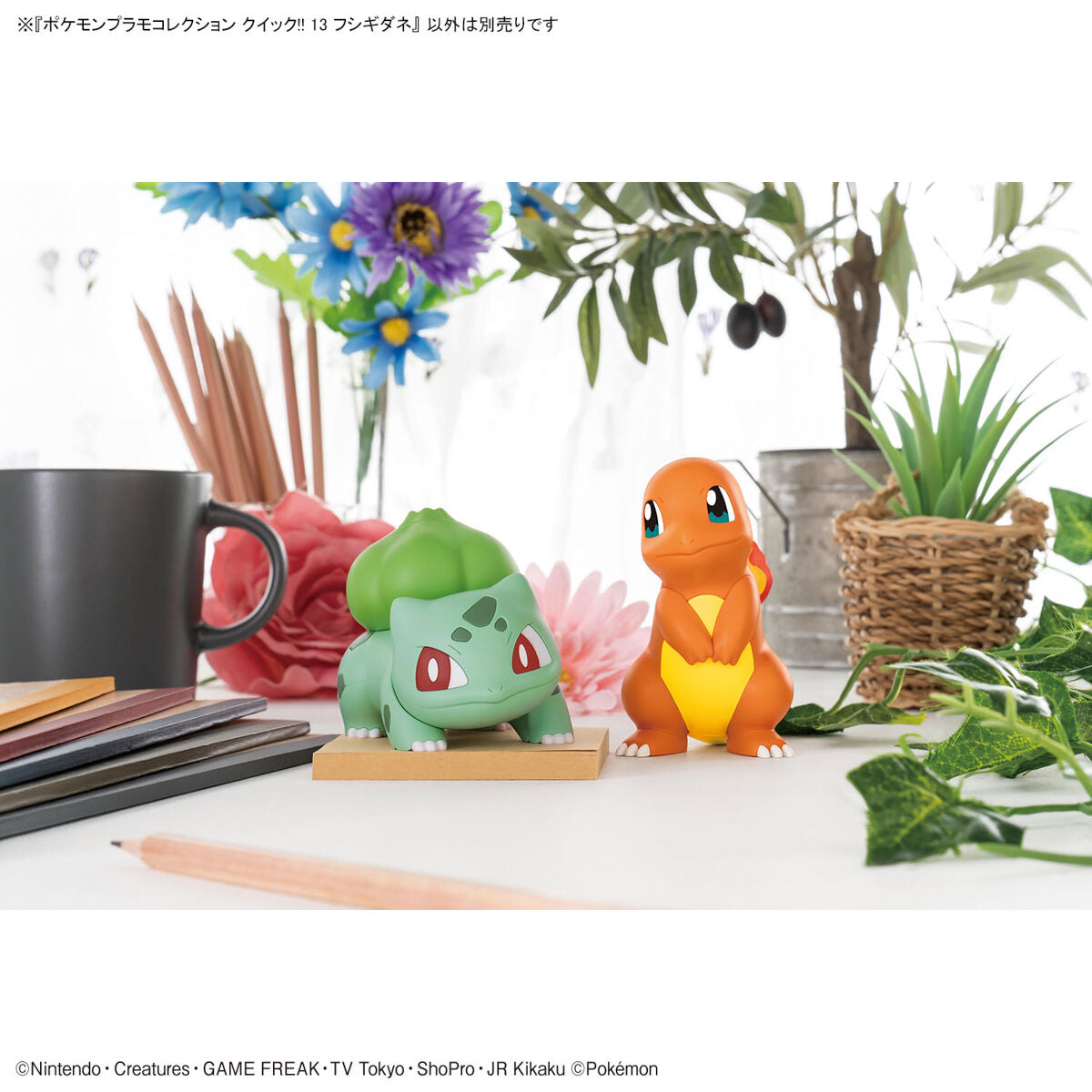 BANDAI POKEMON PLAMO COLLECTION QUICK!! 13 BULBASAUR