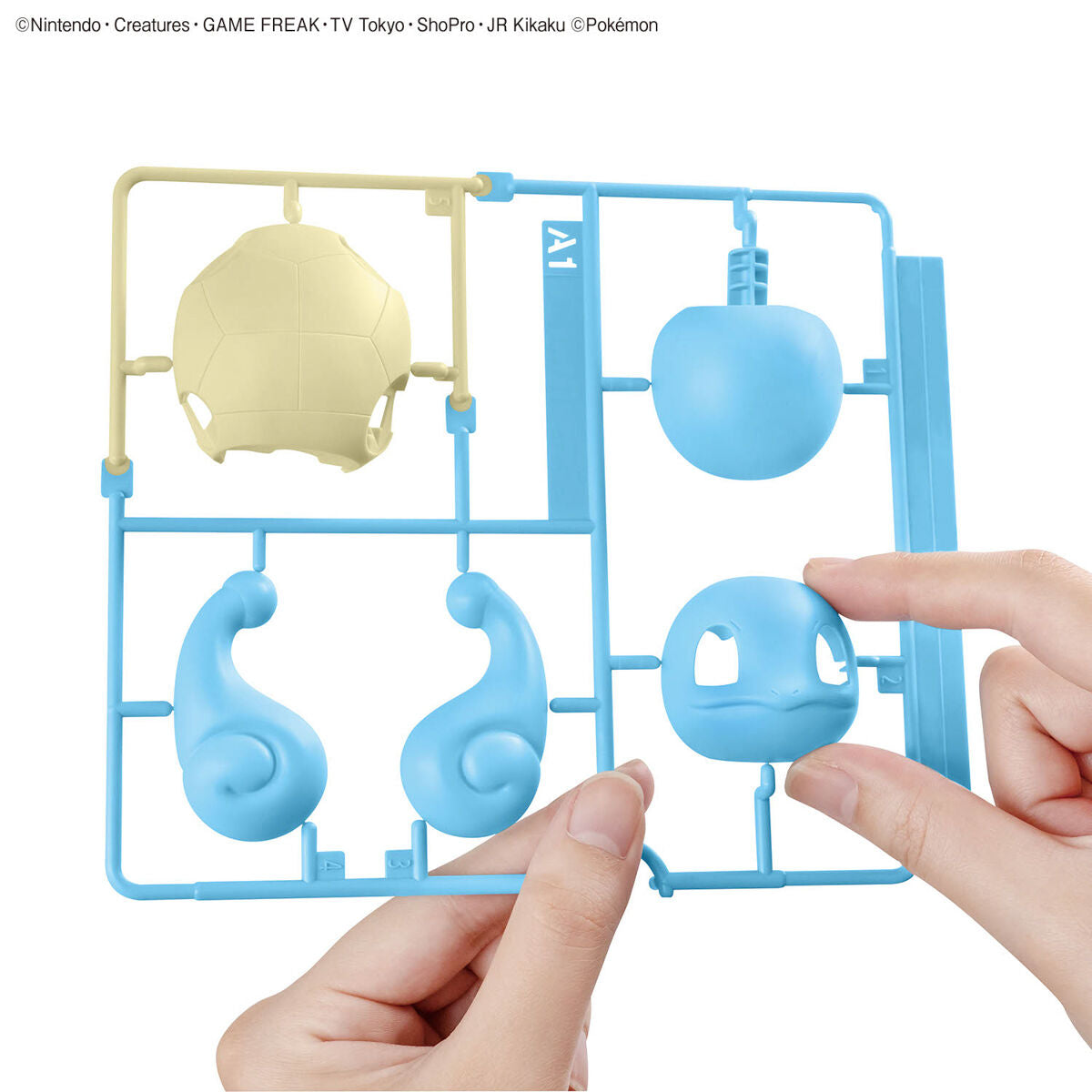 BANDAI POKEMON PLAMO COLLECTION QUICK!! 17 SQUIRTLE