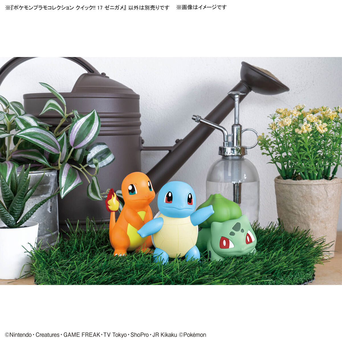 BANDAI POKEMON PLAMO COLLECTION QUICK!! 17 SQUIRTLE