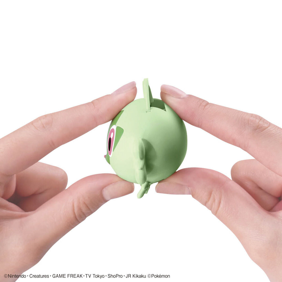 BANDAI POKEMON PLAMO COLLECTION QUICK!! 18 SPRIGATITO