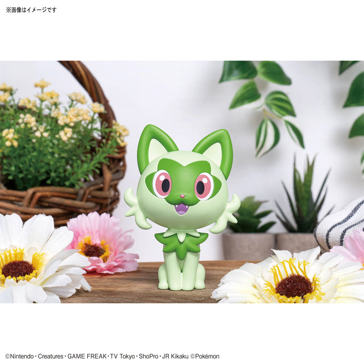 BANDAI POKEMON PLAMO COLLECTION QUICK!! 18 SPRIGATITO