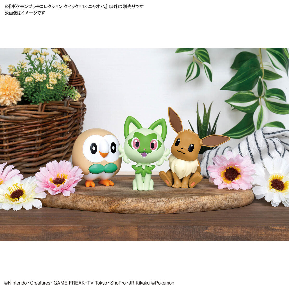 BANDAI POKEMON PLAMO COLLECTION QUICK!! 18 SPRIGATITO