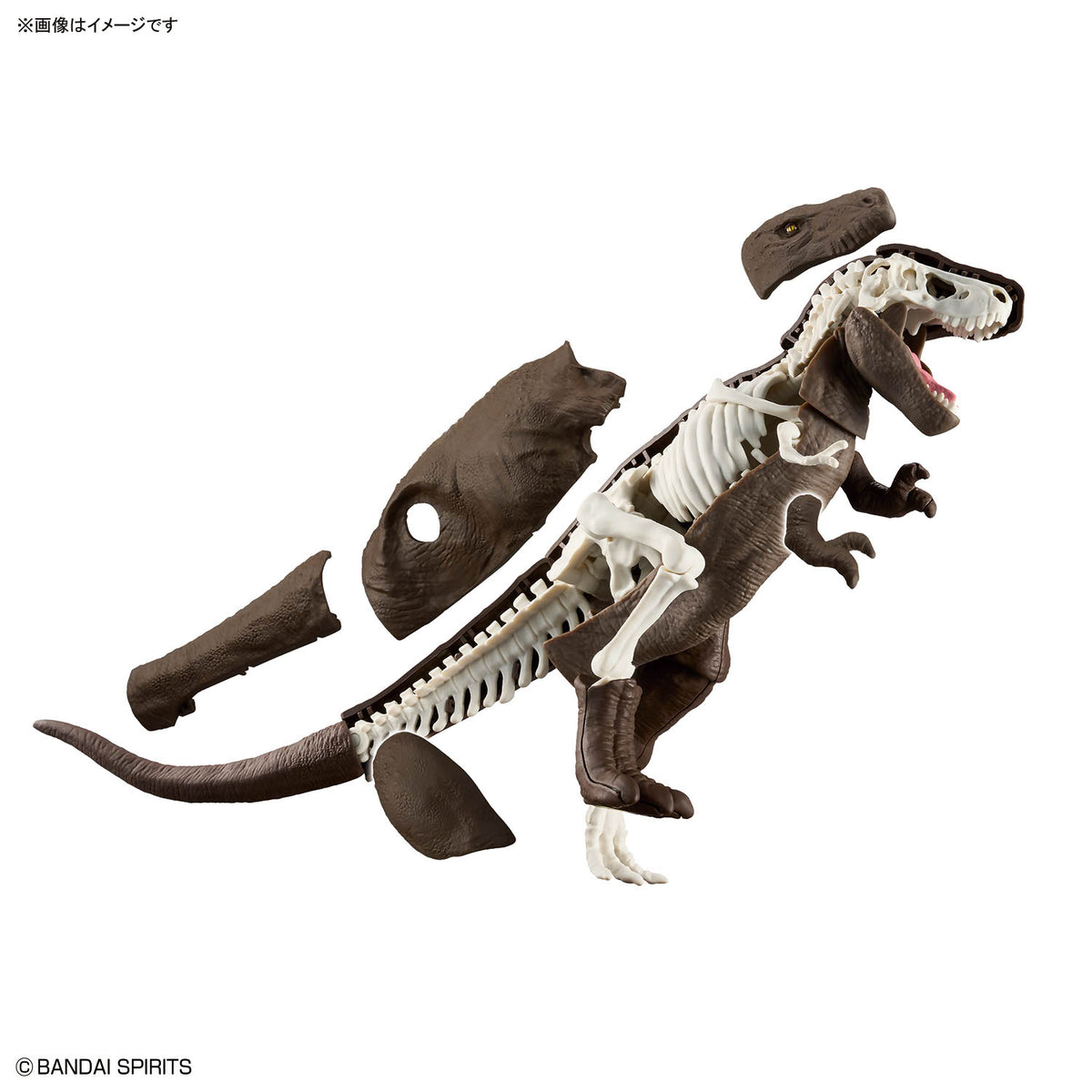 BANDAI PLANNOSAURUS TYRANNOSAURUS 1915