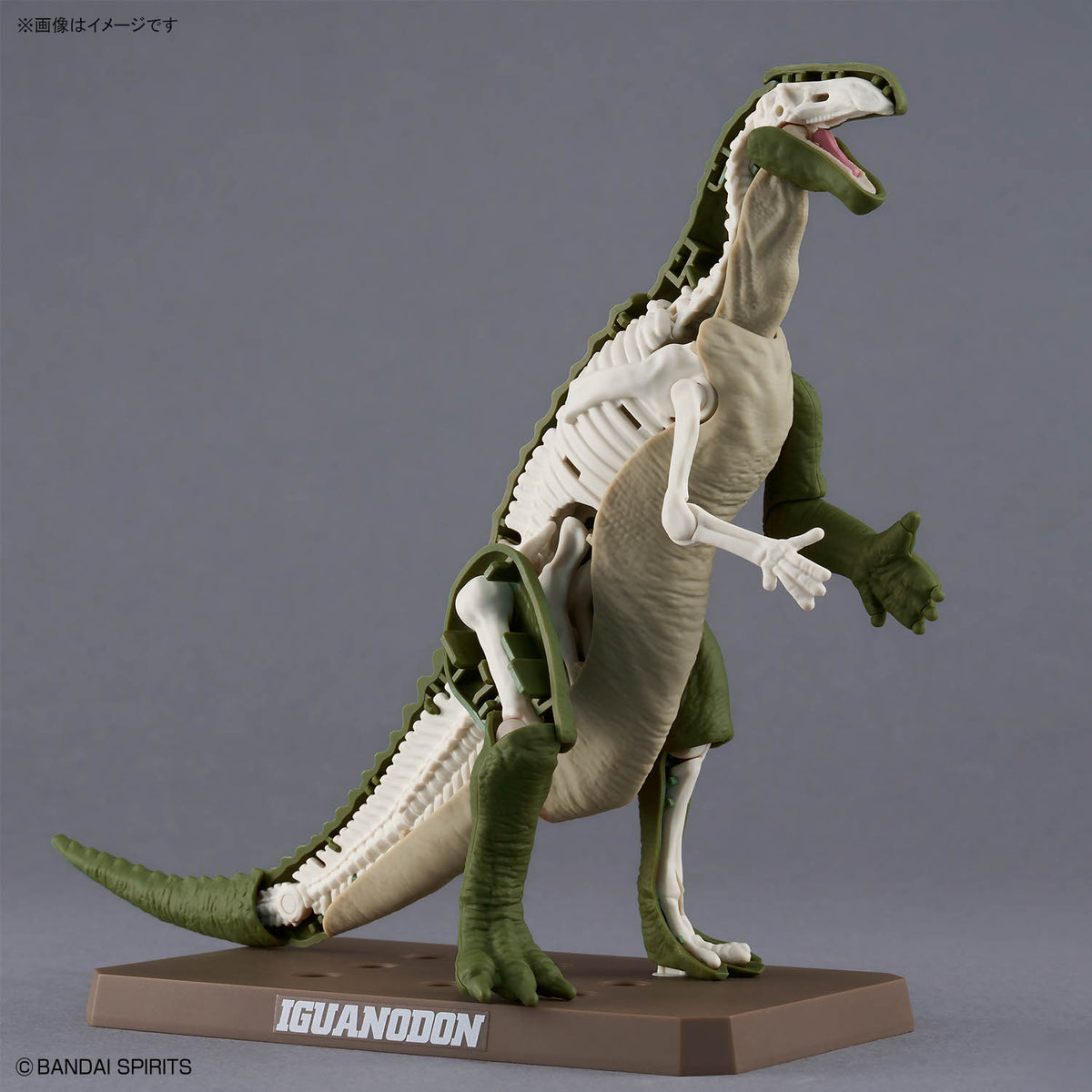 BANDAI PLANNOSAURUS IGUANODON