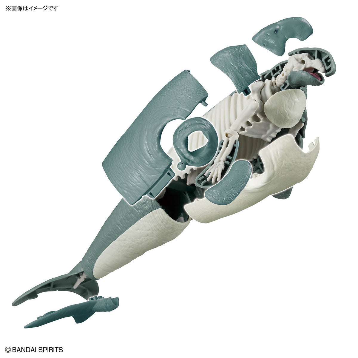BANDAI PLANNOSAURUS HYDRODAMALIS GIGAS