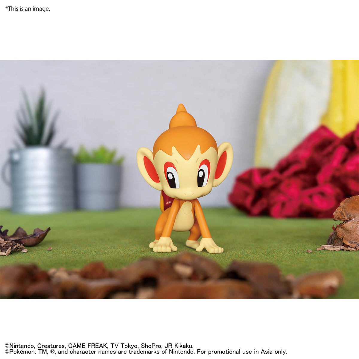 BANDAI POKEMON PLAMO COLLECTION QUICK!! 29 CHIMCHAR