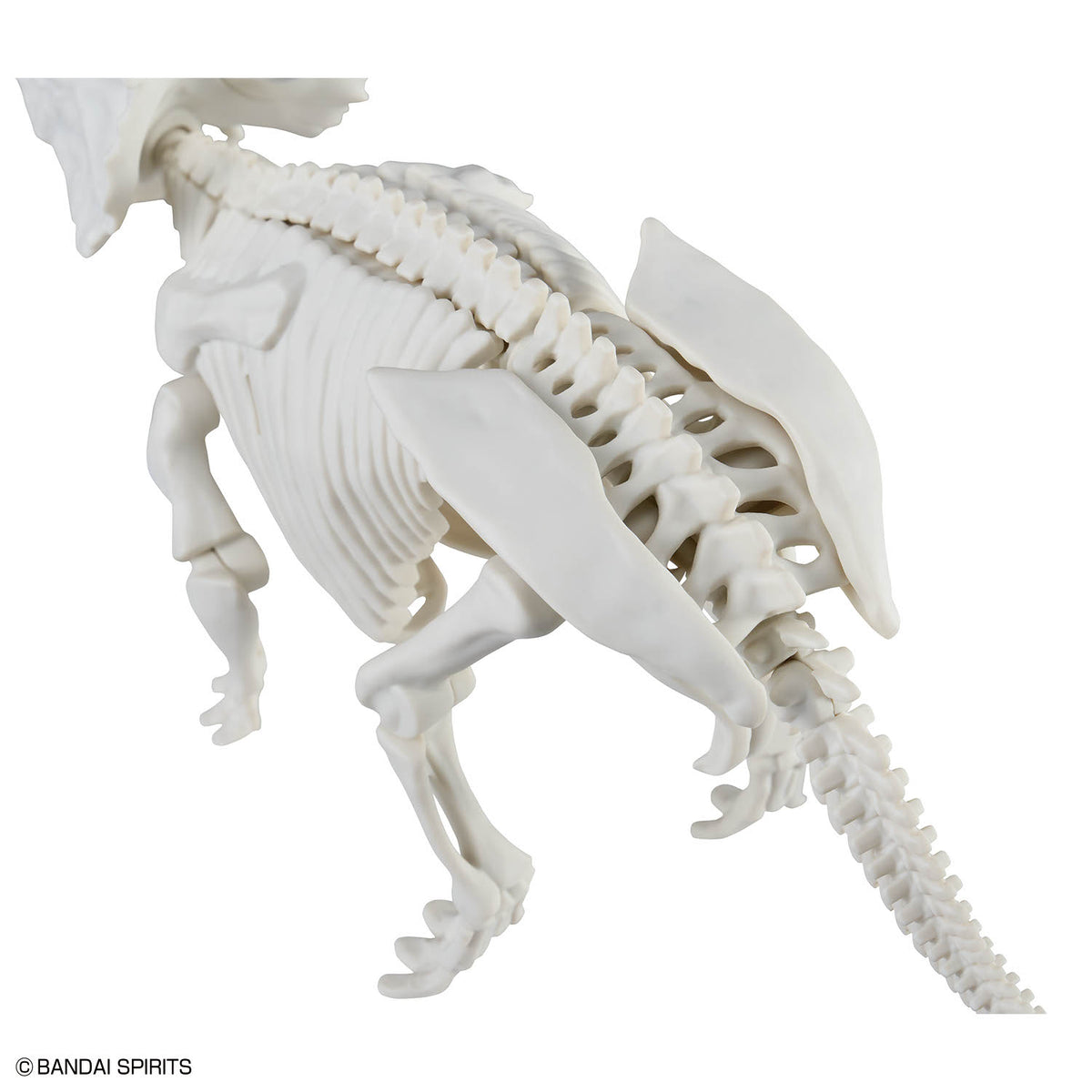 BANDAI PLANNOSAURUS PACHYRHINOSAURUS