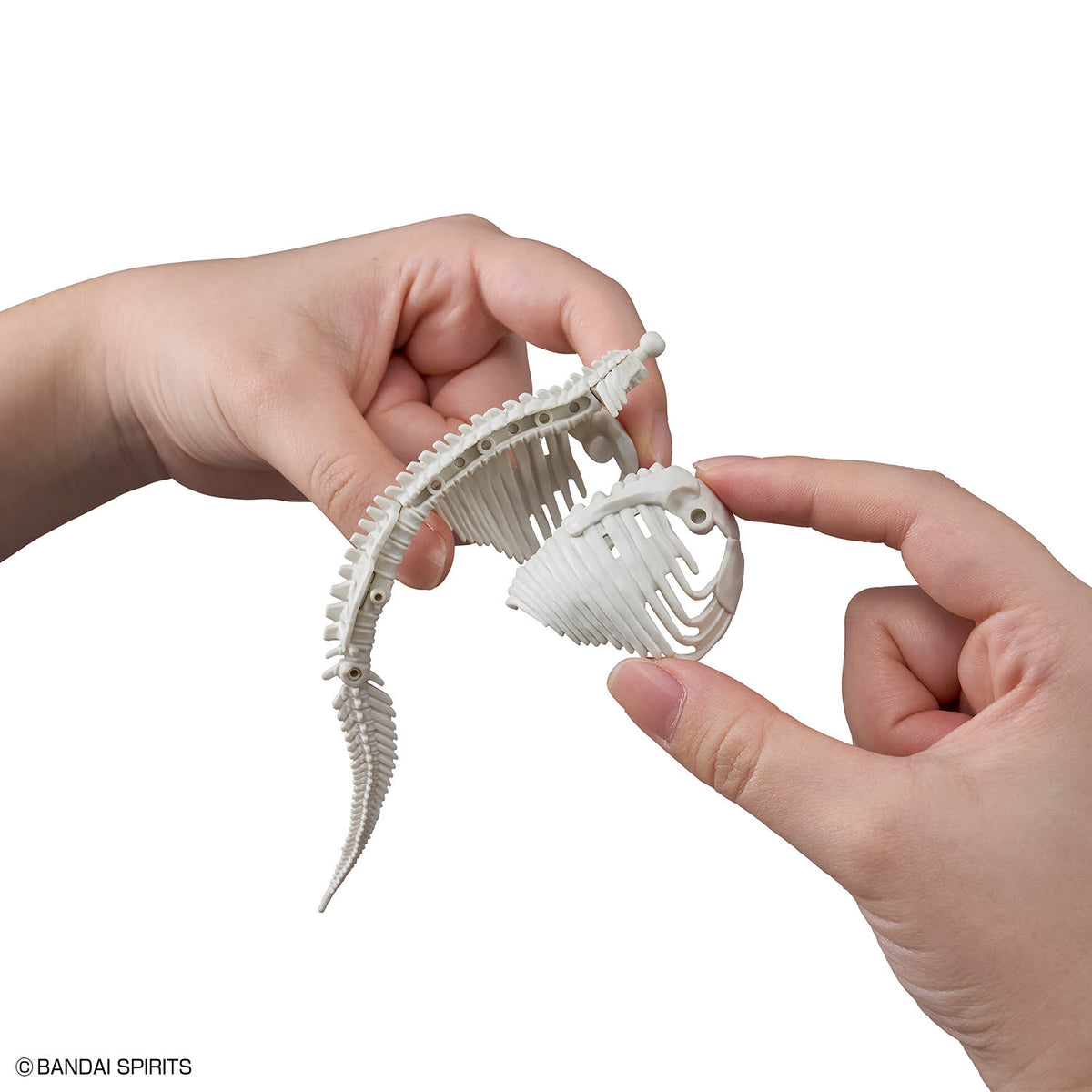 BANDAI PLANNOSAURUS PACHYRHINOSAURUS
