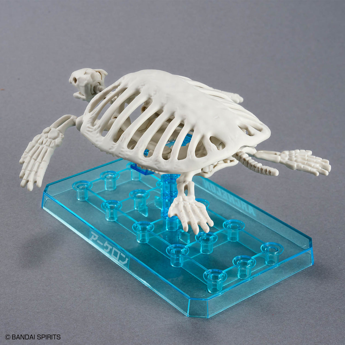 BANDAI PLANNOSAURUS ARCHELON