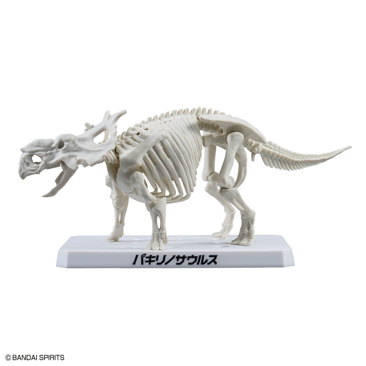 BANDAI PLANNOSAURUS PACHYRHINOSAURUS