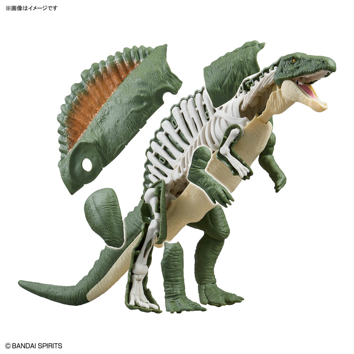 BANDAI PLANNOSAURUS SPINOSAURUS 1915