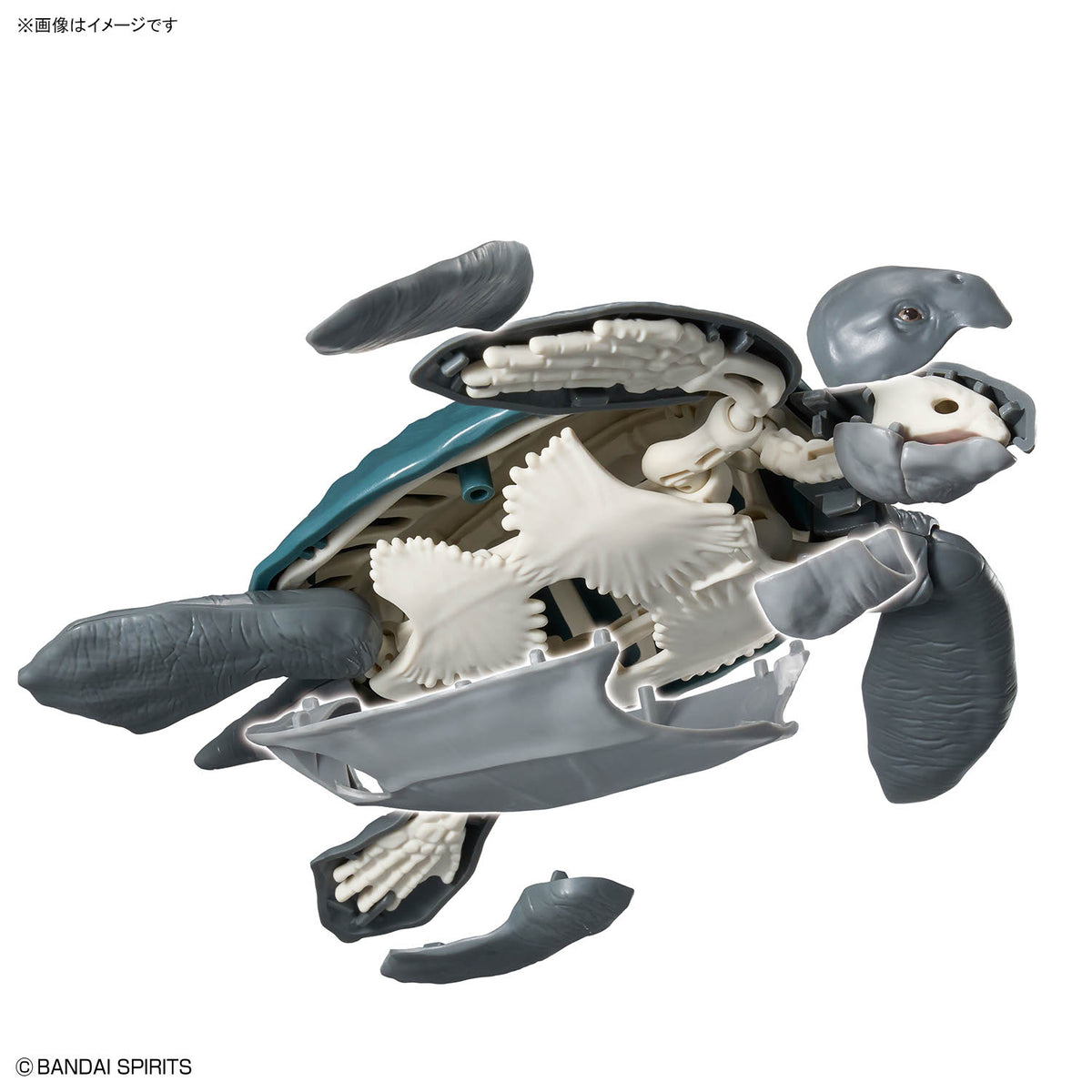 BANDAI PLANNOSAURUS ARCHELON