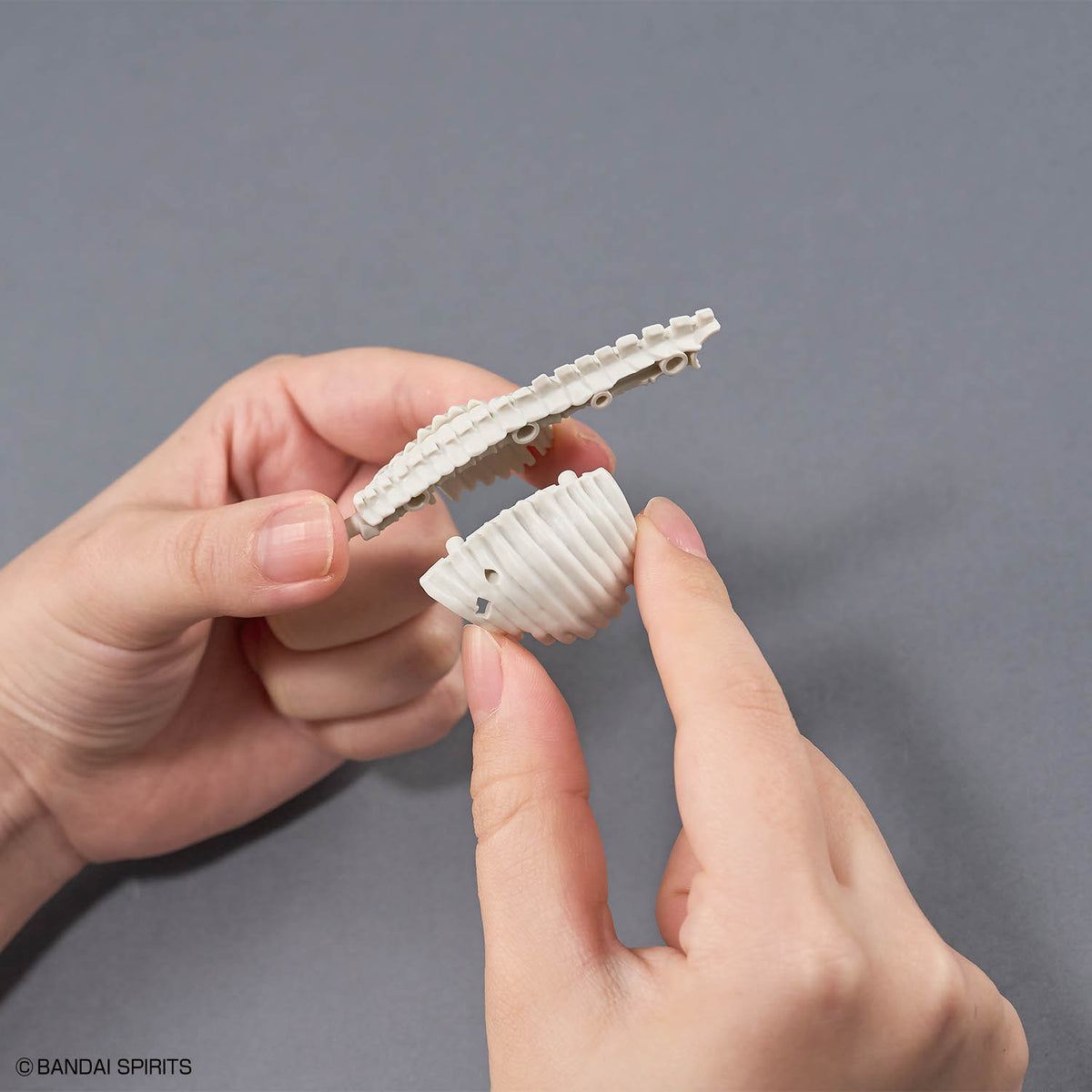 BANDAI PLANNOSAURUS TYRANNOSAURUS 1915