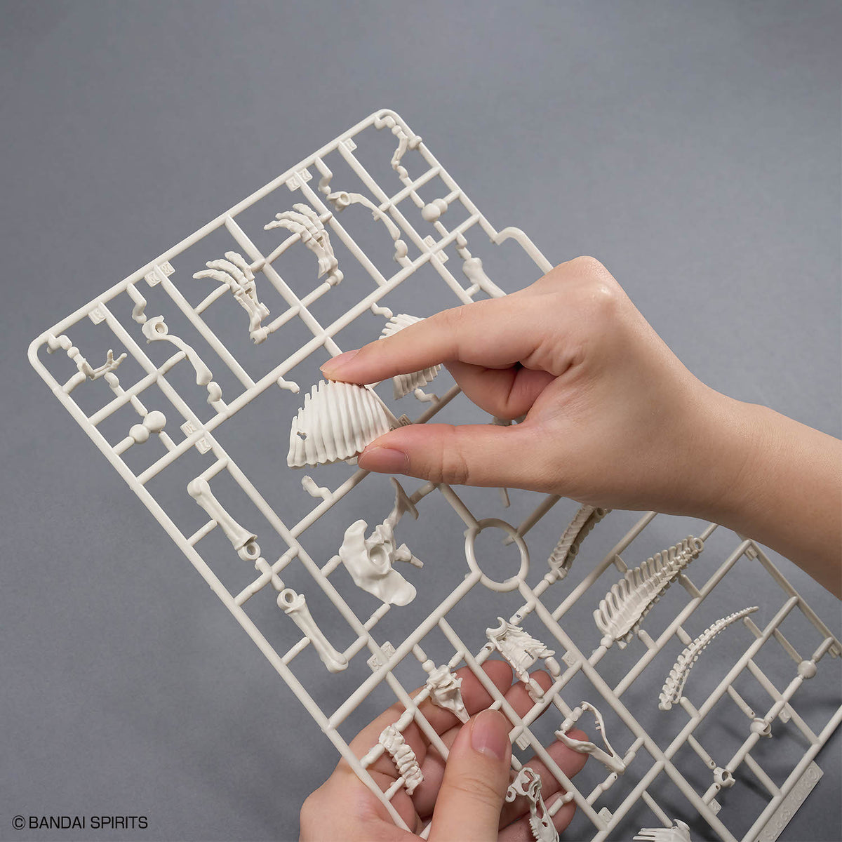 BANDAI PLANNOSAURUS TYRANNOSAURUS SNOWFALL AREA VER.