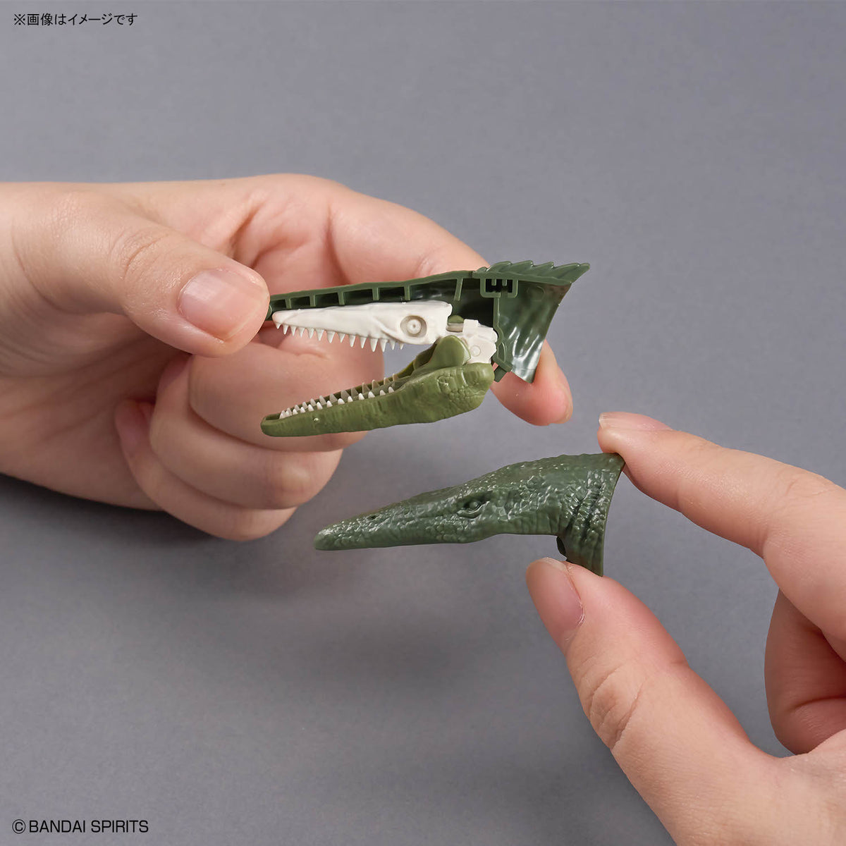 BANDAI PLANNOSAURUS MOSASAURUS 1899